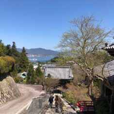 春爛漫の宮島